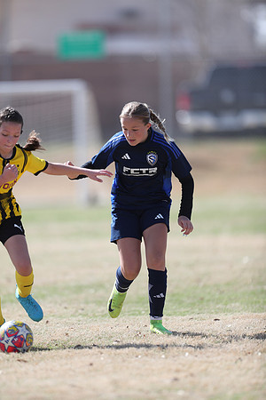 20250315StingAustingG14TigerCupG1-20477