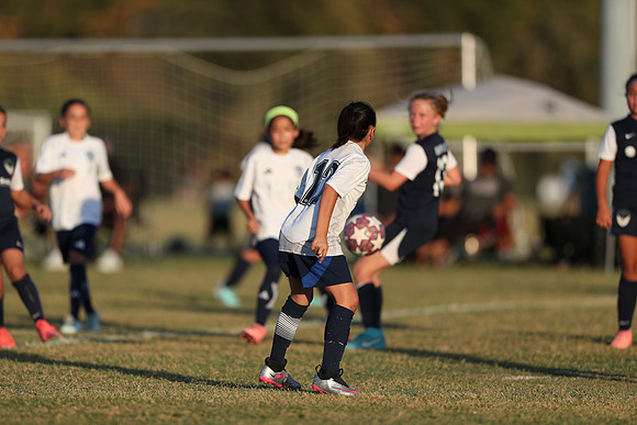 20241027StingG14G8Win-7314