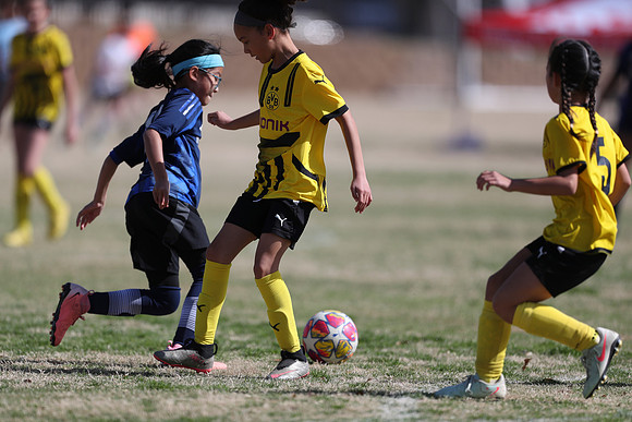 20250315StingAustingG14TigerCupG1-20733