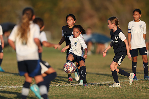 20241027StingG14G8Win-7397