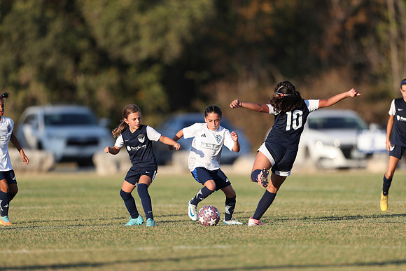 20241027StingG14G8Win-6708