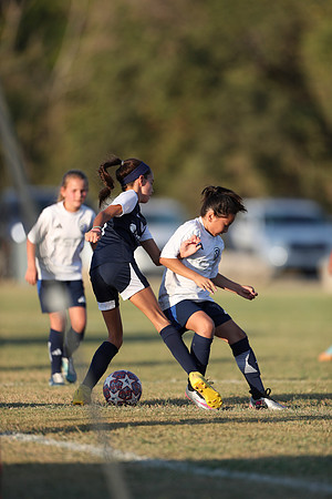 20241027StingG14G8Win-6943