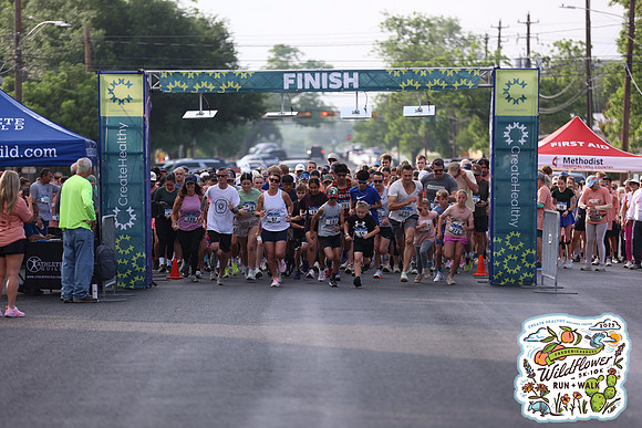 20250426HCMWildflower-1105