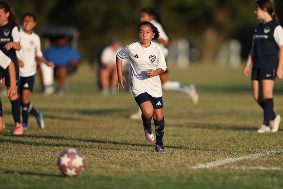 20241027StingG14G8Win-7374