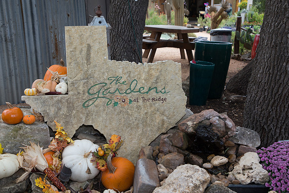 20191012RockRidgeC-3445