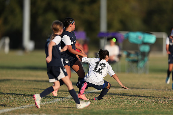 20241027StingG14G8Win-6920