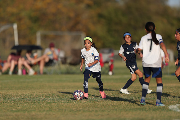 20241027StingG14G8Win-6737