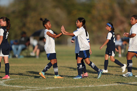 20241027StingG14G8Win-6850