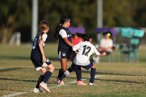 20241027StingG14G8Win-6918