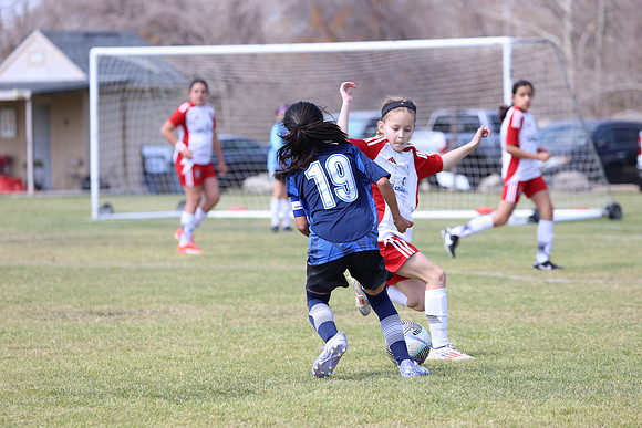 20250302StingAustinG14-0109