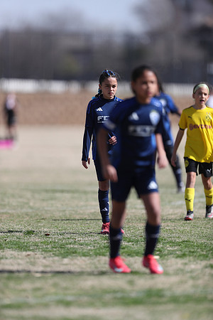 20250315StingAustingG14TigerCupG1-20836