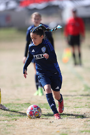 20250315StingAustingG14TigerCupG1-20500