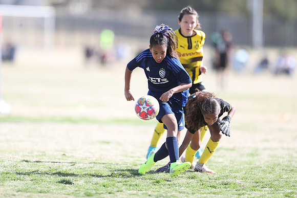 20250315StingAustingG14TigerCupG1-20691