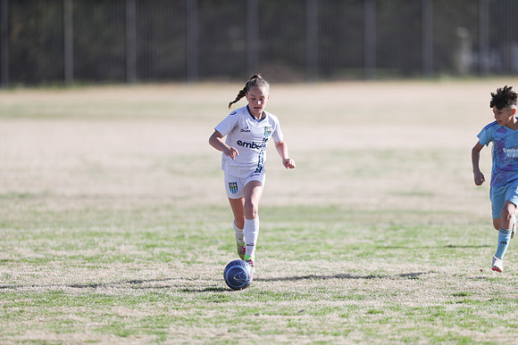 20250315StingAustingG14TigerCupG1-20026