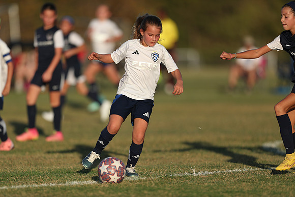 20241027StingG14G8Win-7067