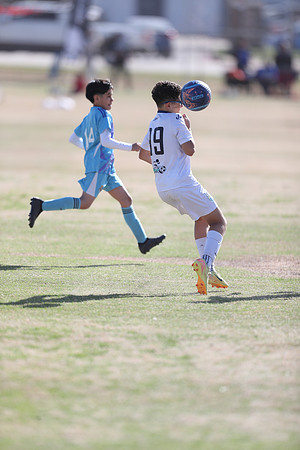 20250315StingAustingG14TigerCupG1-20204