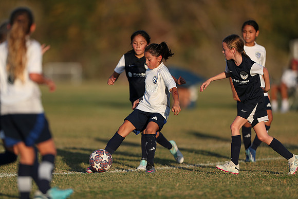 20241027StingG14G8Win-7395