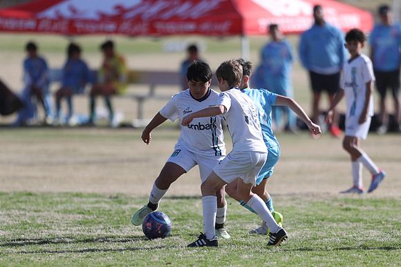 20250315StingAustingG14TigerCupG1-20058