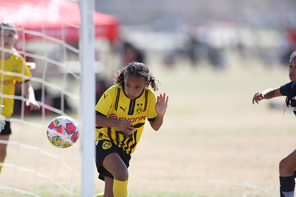 20250315StingAustingG14TigerCupG1-20641