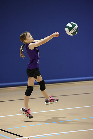 20240420VBallG3-0287