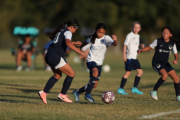 20241027StingG14G8Win-6821