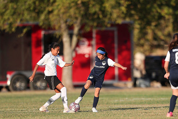 20241027StingG14G8Win-6964