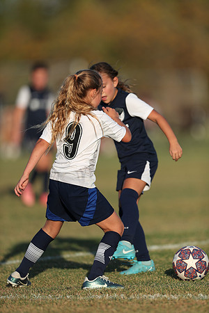 20241027StingG14G8Win-6749