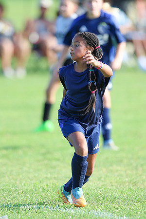 20240831StingLaborDayG1-0338
