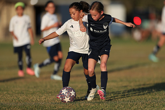 20241027StingG14G8Win-7140