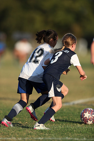 20241027StingG14G8Win-7085