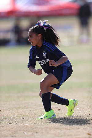 20250315StingAustingG14TigerCupG1-20463