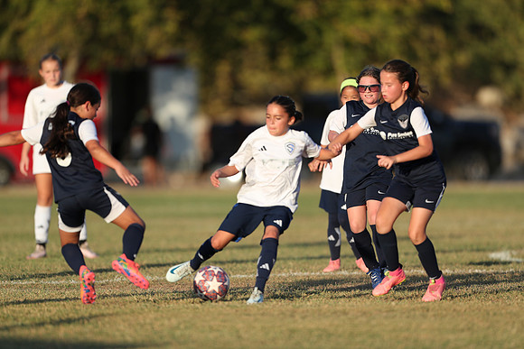 20241027StingG14G8Win-7129