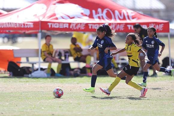20250315StingAustingG14TigerCupG1-20623