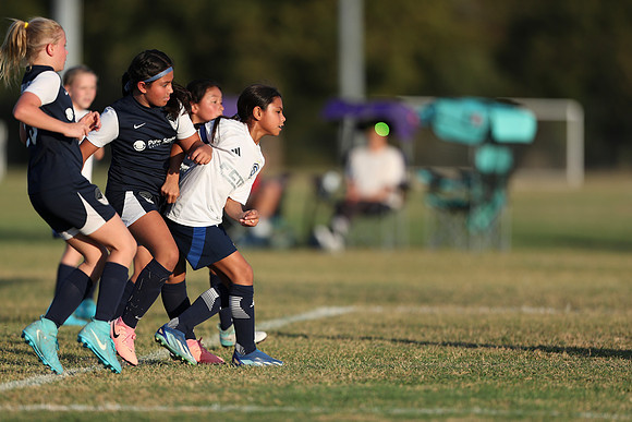 20241027StingG14G8Win-6834