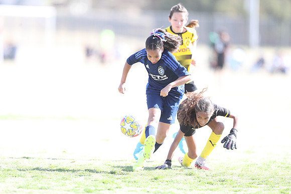 20250315StingAustingG14TigerCupG1-20690