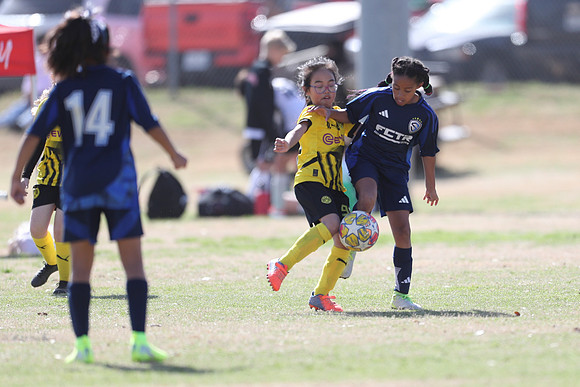 20250315StingAustingG14TigerCupG1-20607