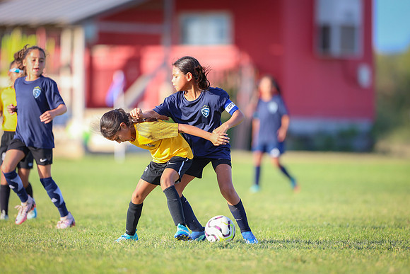 20240831StingLaborDayG3-2847