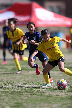 20250315StingAustingG14TigerCupG1-20775