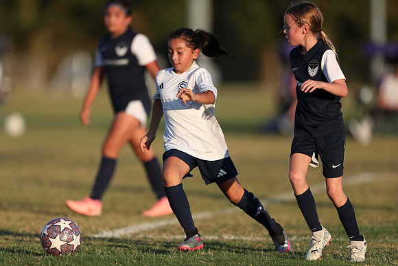 20241027StingG14G8Win-7340