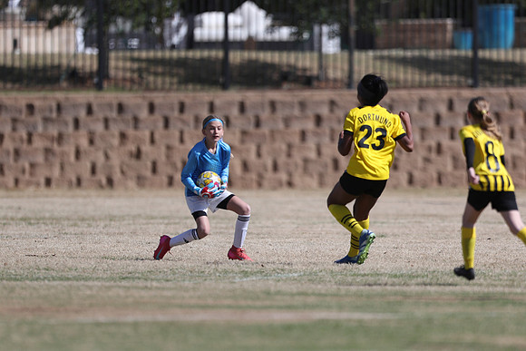 20250315StingAustingG14TigerCupG1-20883