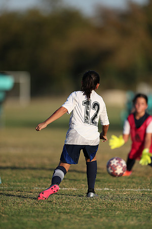 20241027StingG14G8Win-7107