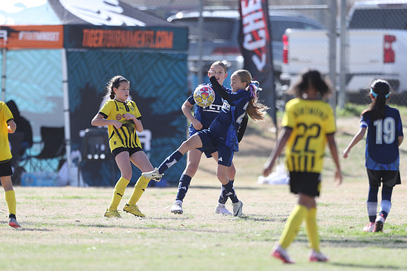 20250315StingAustingG14TigerCupG1-20565