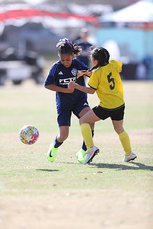 20250315StingAustingG14TigerCupG1-20310