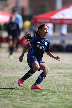 20250315StingAustingG14TigerCupG1-20826