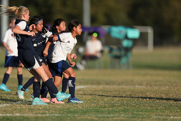 20241027StingG14G8Win-6836