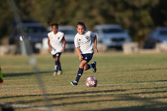 20241027StingG14G8Win-6724