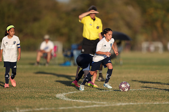 20241027StingG14G8Win-7264