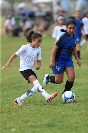 20240831StingLaborDayG3-0863