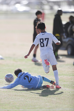 20250315StingAustingG14TigerCupG1-20019
