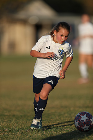 20241027StingG14G8Win-7070